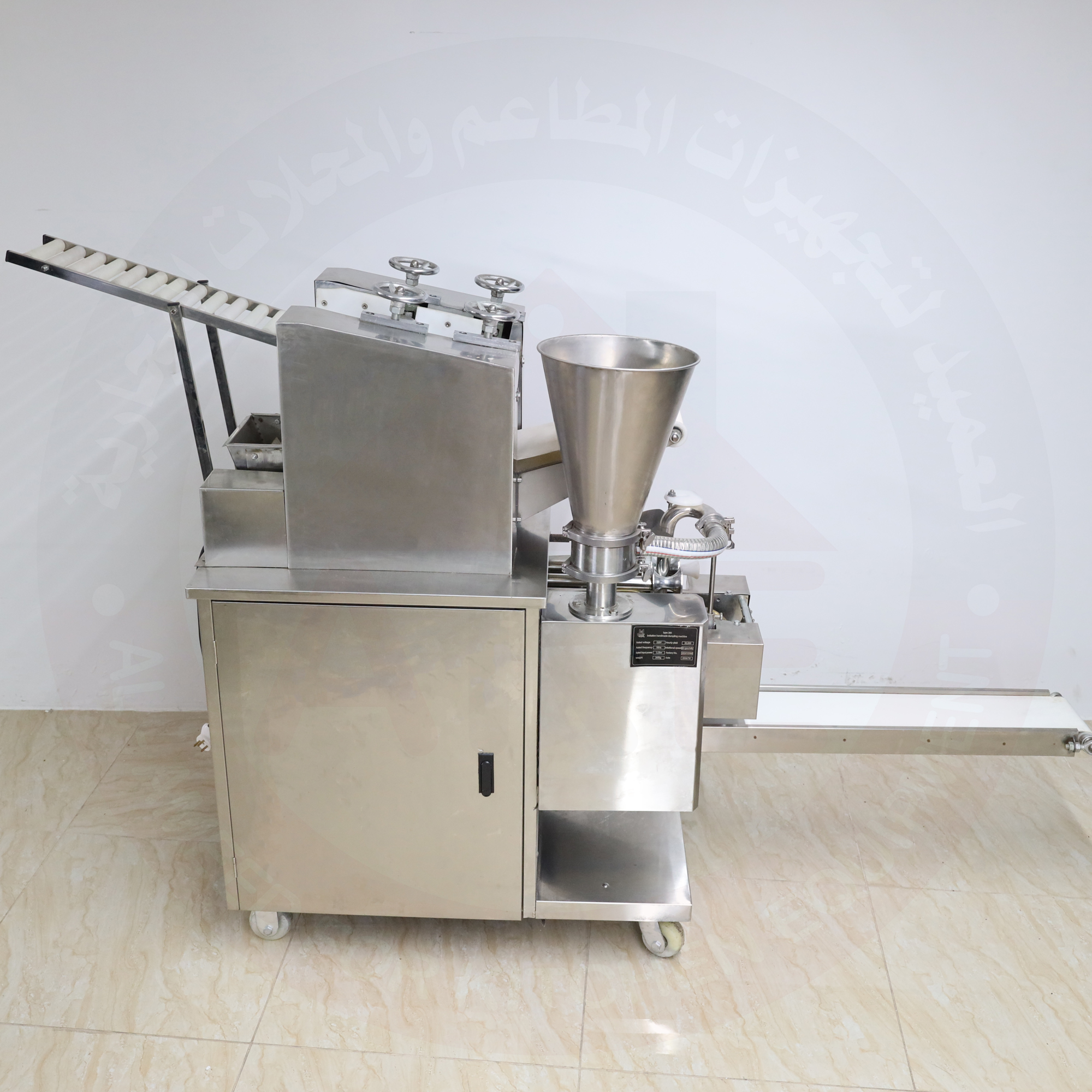 صورة إضافية